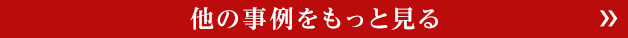 他の事例をもっと見る